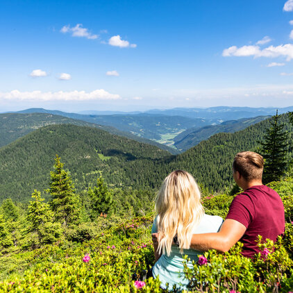 Fernblick vom Hirnkopf